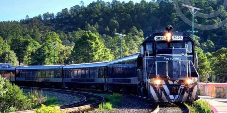Tren arrolla a hombre que fallece en el lugar