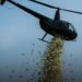 VIDEO | Darrell Thomas pide que helicóptero disperse dinero en Detroit como último deseo