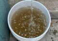 VIDEO | El agua de El Realito continúa no apta para beber; autoridades sugieren uso agrícola