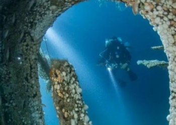 Resuelven el misterio de un naufragio de hace 140 años