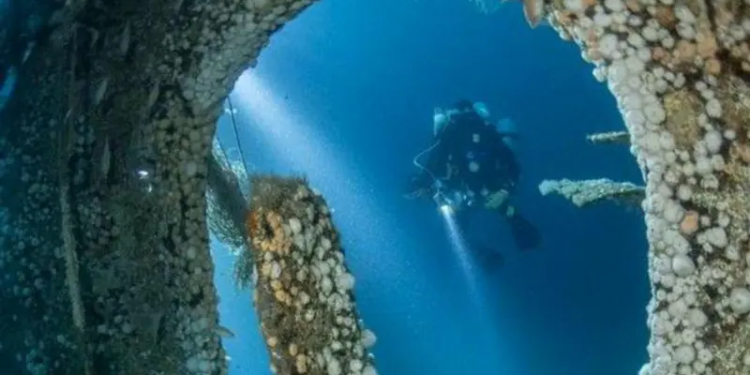Resuelven el misterio de un naufragio de hace 140 años