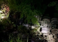 Accidente en El Naranjo: camión cae a barranco y conductor sobrevive