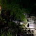 Accidente en El Naranjo: camión cae a barranco y conductor sobrevive