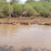 Localizan cuerpo de trabajador que cayó al río en Tamuín