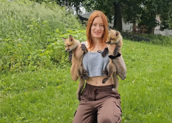 Mikayla Raines, activista por los derechos de los animales, muere tras enfrentar acoso y problemas de salud mental