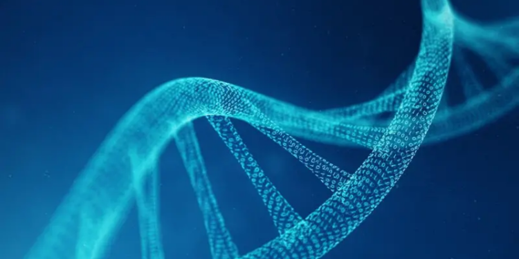 Cómo es el proyecto que busca crear ADN humano artificial (y cuáles son sus peligros)