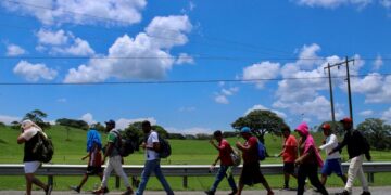 Baja el número de migrantes hondureños en SLP según cónsul