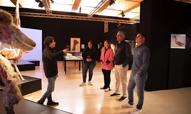 Últimas semanas para vivir “Body Worlds: Animal Inside Out” en San Luis Potosí