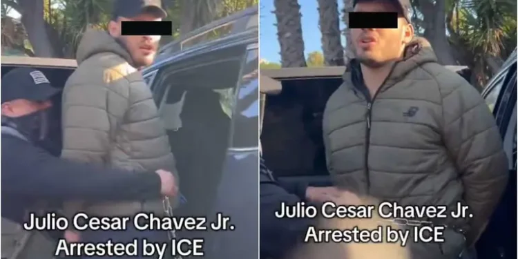 VIDEO: Así fue la detención de Chávez Jr