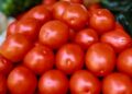 VIDEO| Por aranceles al tomate CANACO SLP advierte sobre impacto económico