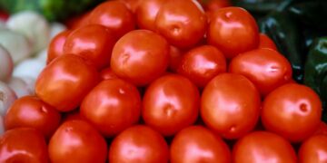 VIDEO| Por aranceles al tomate CANACO SLP advierte sobre impacto económico