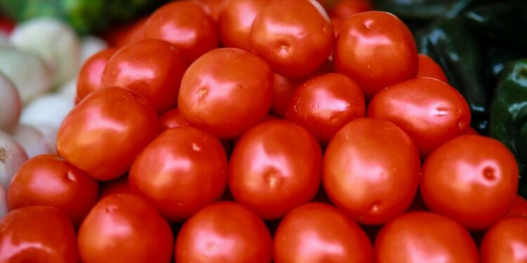 VIDEO| Por aranceles al tomate CANACO SLP advierte sobre impacto económico