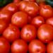 VIDEO| Por aranceles al tomate CANACO SLP advierte sobre impacto económico