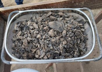 Restos óseos en Matehuala sitio que podría ser campo de exterminio