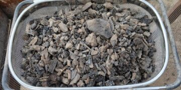 Restos óseos en Matehuala sitio que podría ser campo de exterminio