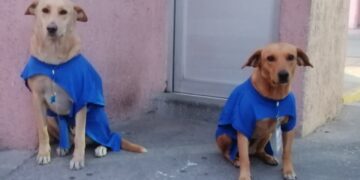 Examen de admisión inicia con bienvenida de El Güero y Chaparro a los jóvenes