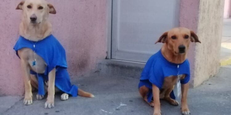 Examen de admisión inicia con bienvenida de El Güero y Chaparro a los jóvenes
