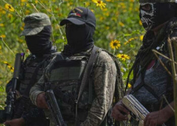 Carteles mexicanos apuntan a África: EU advierte sobre su presencia