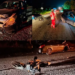 Conductor orignario de Monterrey embiste a motociclista en carretera Valles-Mante