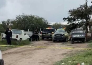 VIDEO | Buscan a responsables de tirar feto en Las Flores