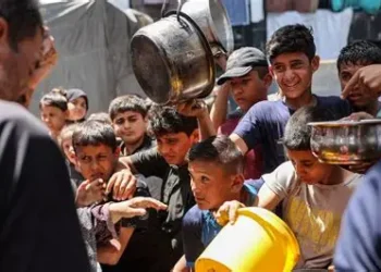 Israel declaró una pausa parcial en los combates en Gaza y entran camiones con ayuda humanitaria