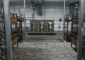 Hermanos mexicanos son detenidos en EU y llevados a “Alligator Alcatraz”