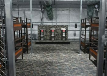 Hermanos mexicanos son detenidos en EU y llevados a “Alligator Alcatraz”