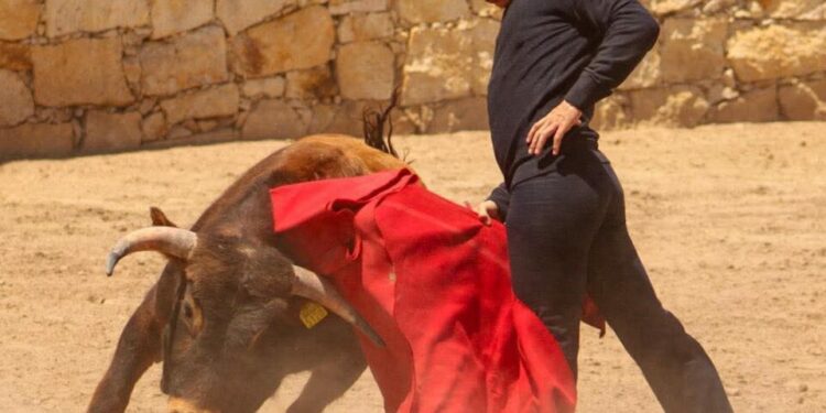 Festival taurino en Santa María del Río