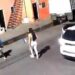 Identifican a sujeto que asesinó a mujer con rifle en Guadalajara giran orden de captura