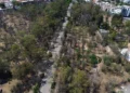 Parque de Morales será escenario de una reforestación masiva