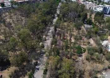 Parque de Morales será escenario de una reforestación masiva