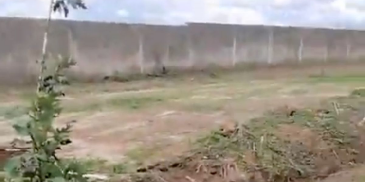 Hallan nueva fosa clandestina en Zapopan; suman 211 bolsas con restos humanos desde marzo
