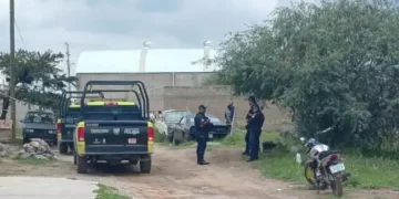 Hallan restos de recién nacido devorado por perros en la colonia Las Flores