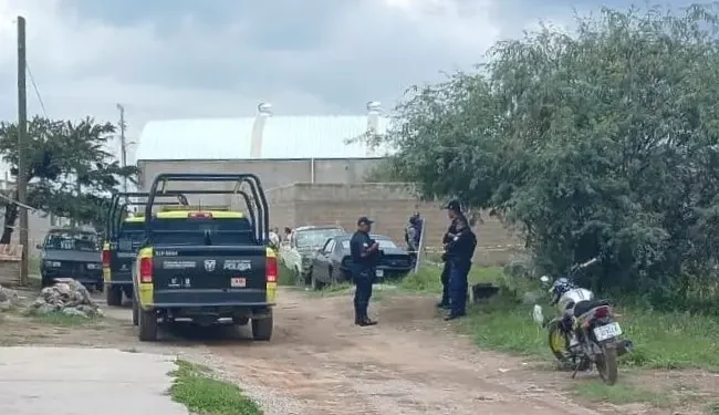 Hallan restos de recién nacido devorado por perros en la colonia Las Flores