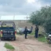Hallan restos de recién nacido devorado por perros en la colonia Las Flores