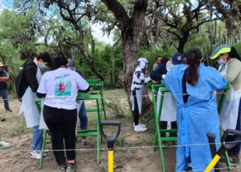 VIDEO| Niega fiscalía un campo de exterminio en Matehuala