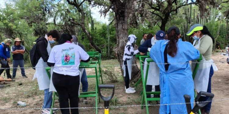 VIDEO| Niega fiscalía un campo de exterminio en Matehuala