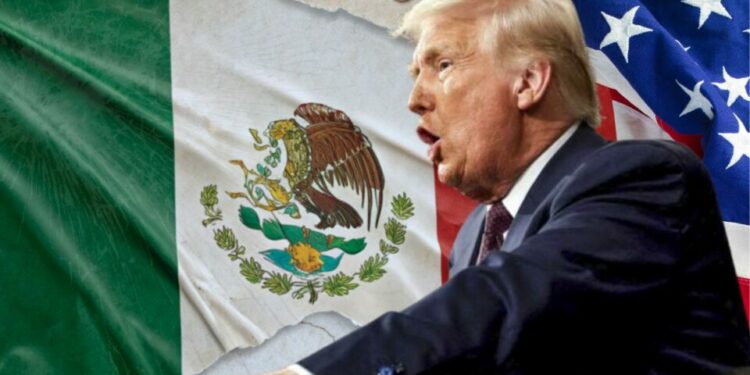 Trump afirma que cárteles ejercen fuerte influencia en la sociedad de México
