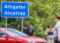 Tribu de Florida presenta demanda contra ‘Alligator Alcatraz’ por usurpar sus tierras