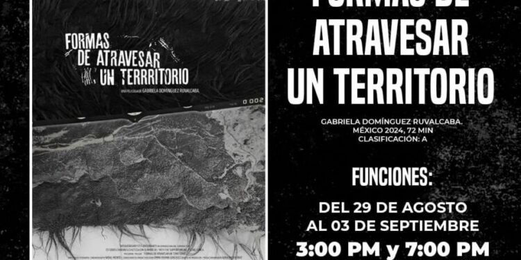 Cartelera actualizada en la Cineteca Alameda