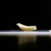 EU confirma el primer caso de gusano barrenador en humanos