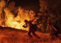 Lanzan alerta por incendios en EU