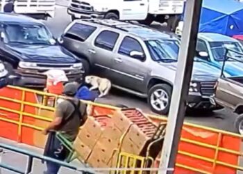 Mujer lanza agua hirviendo a perro en la Central de Abastos