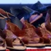 Adidas ofrece disculpa pública en Oaxaca por plagio de huaraches