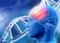 Nuevo trazadores de inflamación son pieza clave en el desarrollo de la enfermedad de Alzheimer