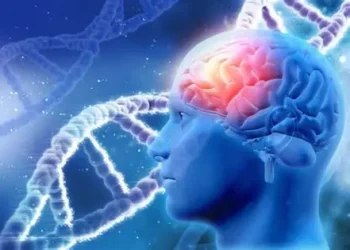 Nuevo trazadores de inflamación son pieza clave en el desarrollo de la enfermedad de Alzheimer