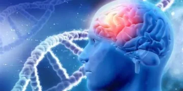 Nuevo trazadores de inflamación son pieza clave en el desarrollo de la enfermedad de Alzheimer