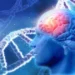 Nuevo trazadores de inflamación son pieza clave en el desarrollo de la enfermedad de Alzheimer