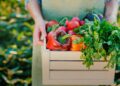 VIDEO | Empresarios están obligados a fabricar alimentos más saludables