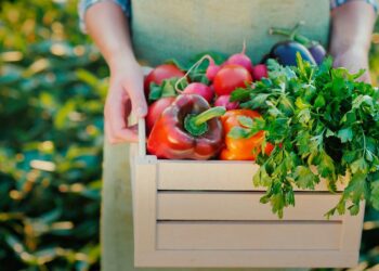 VIDEO | Empresarios están obligados a fabricar alimentos más saludables